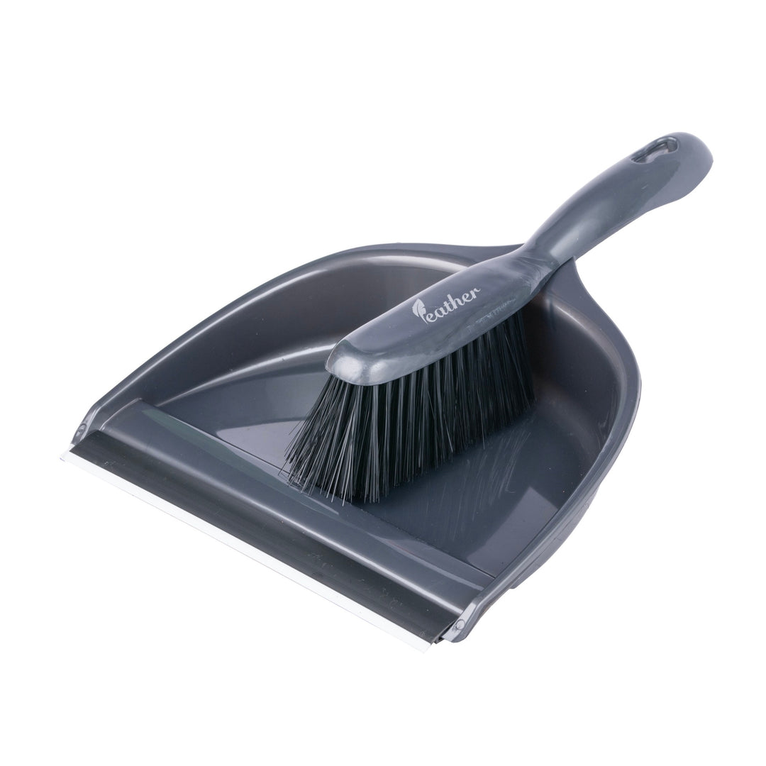 Dustpan with Brush Set