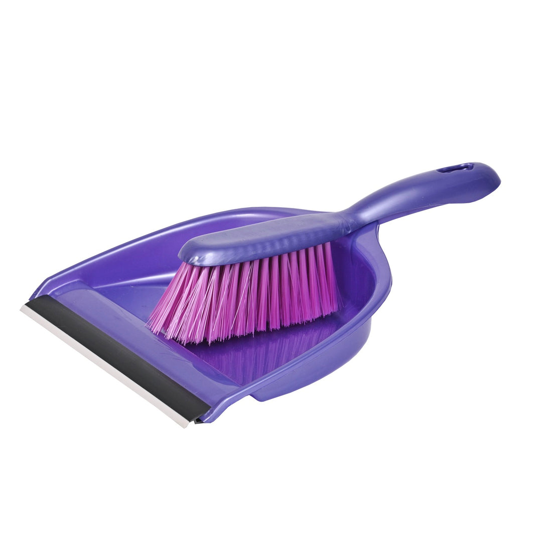 Dustpan with Brush Set