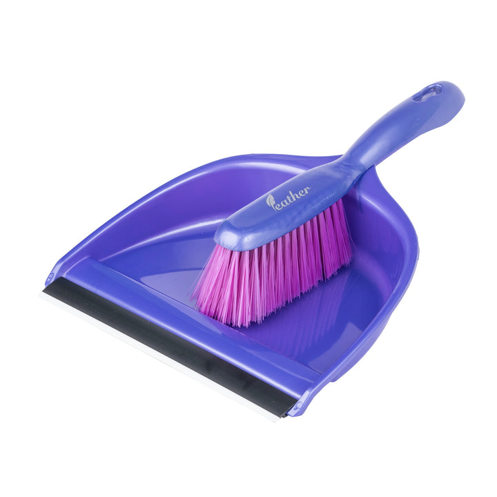 Dustpan with Brush Set